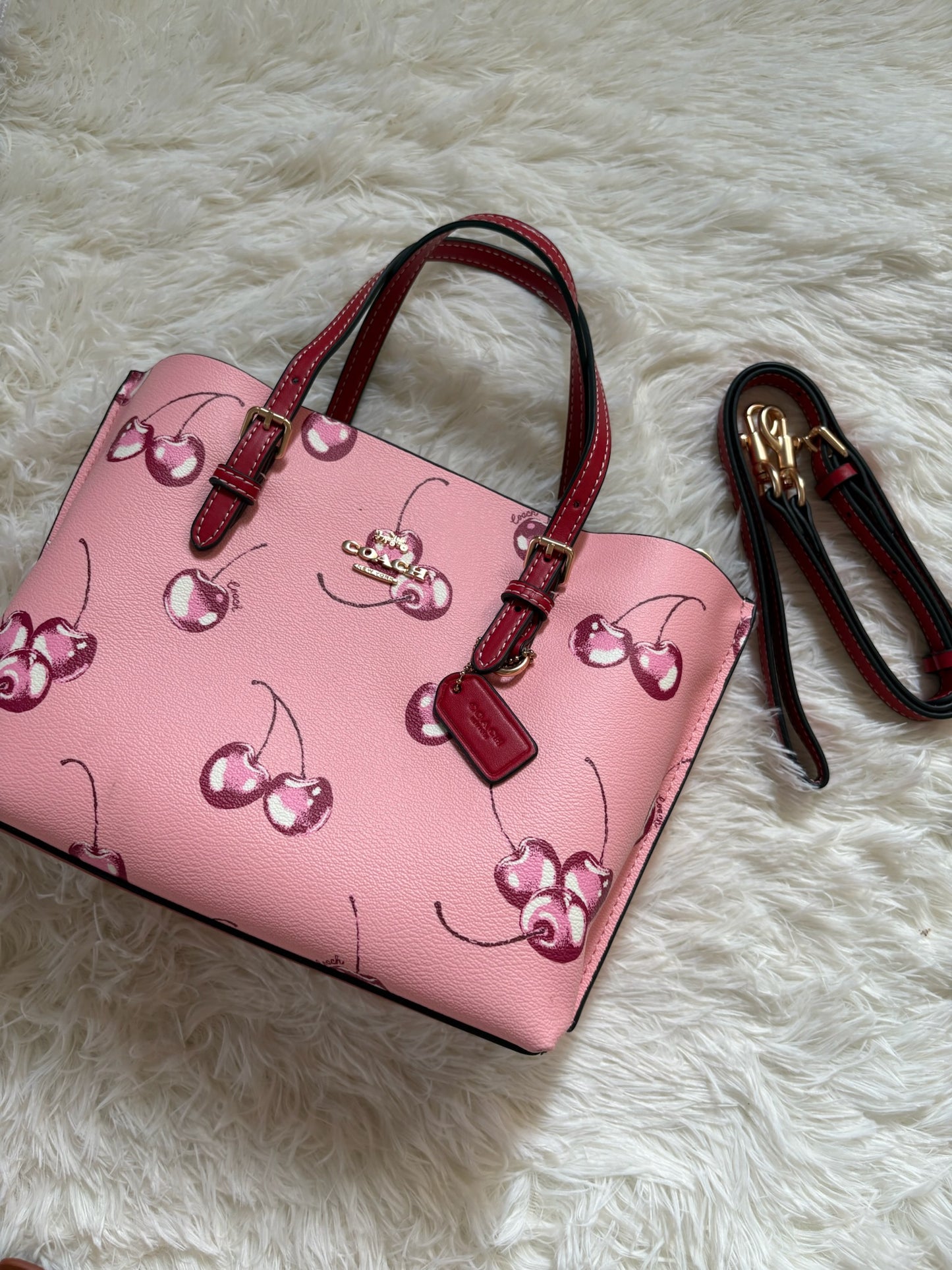 Coach Cherry Mollie Tote – Pink