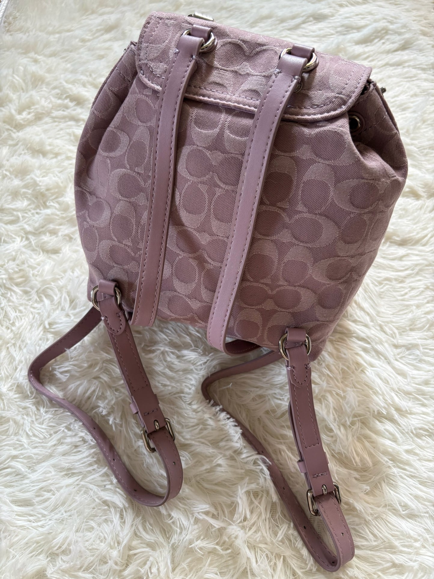 Coach Riya Backpack 21 – Pale Pueple