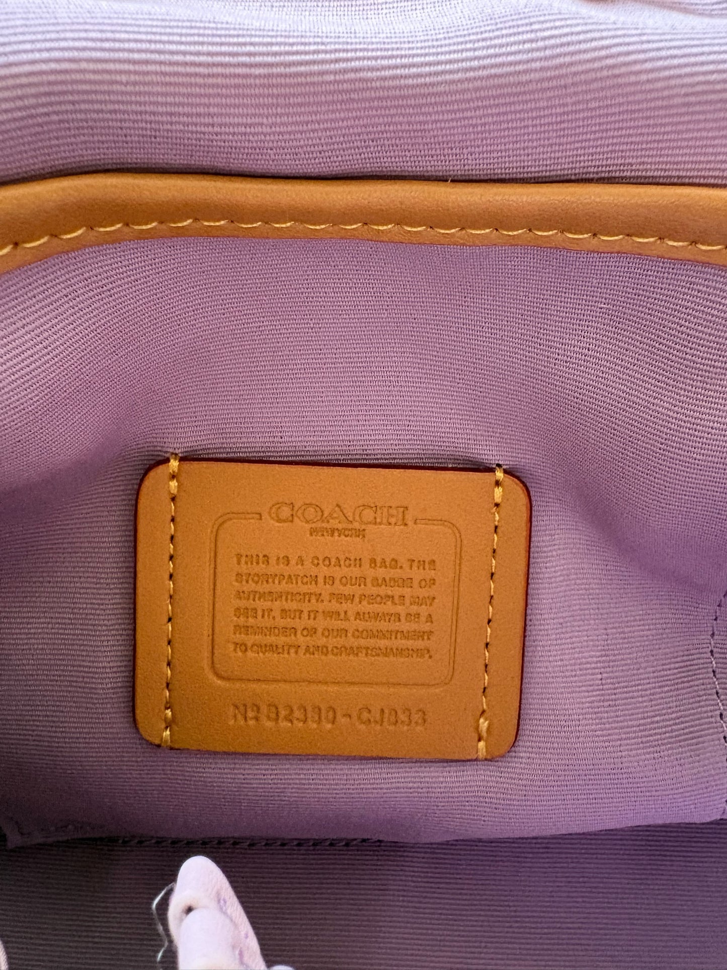 Coach Riya Backpack 21 – Pale Pueple
