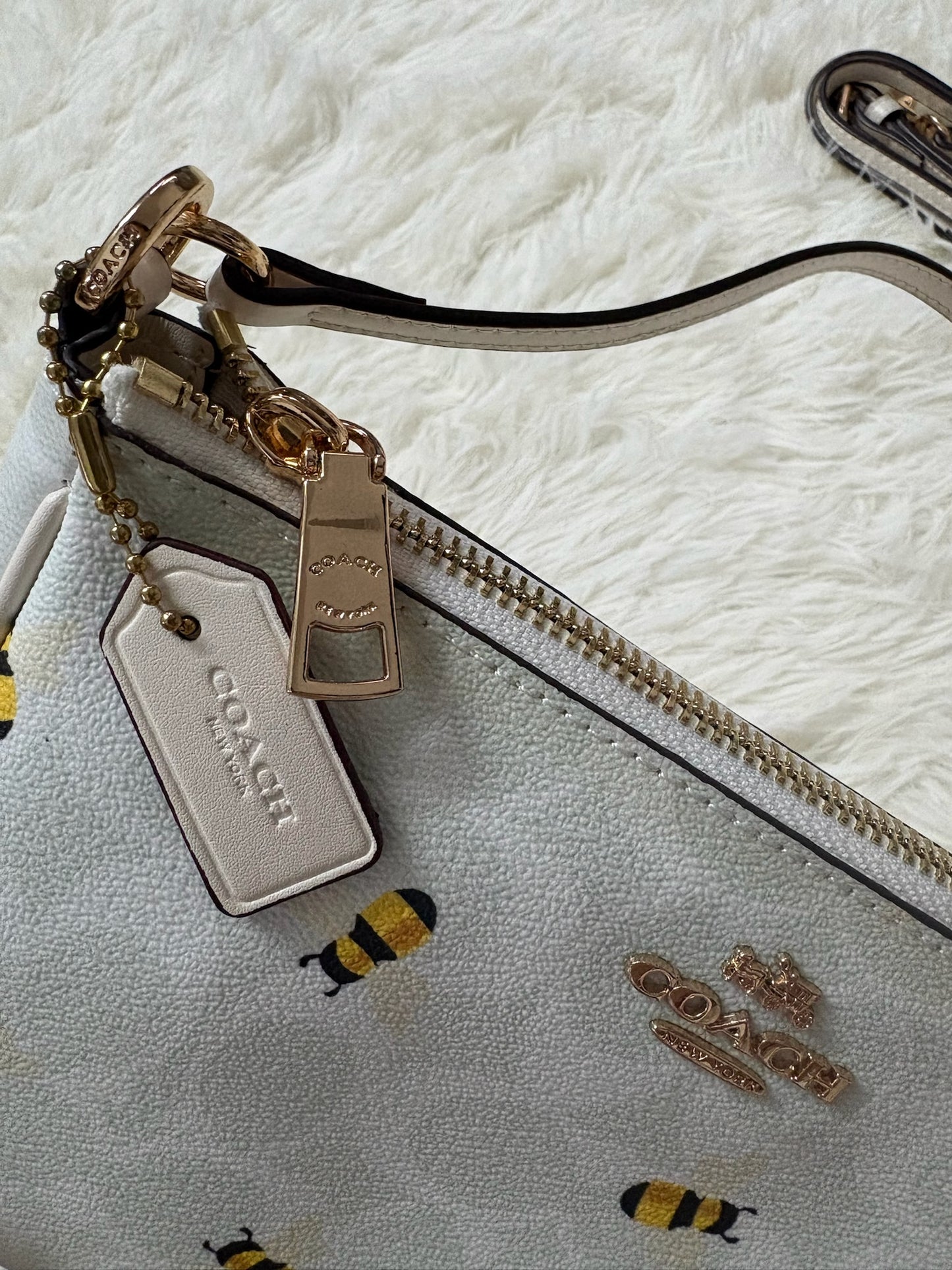 Coach Nolita 19 in Signature Canvas with Bee Print